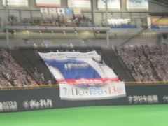 これは、着れん