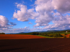 雪が降る前に 雪が降る前に