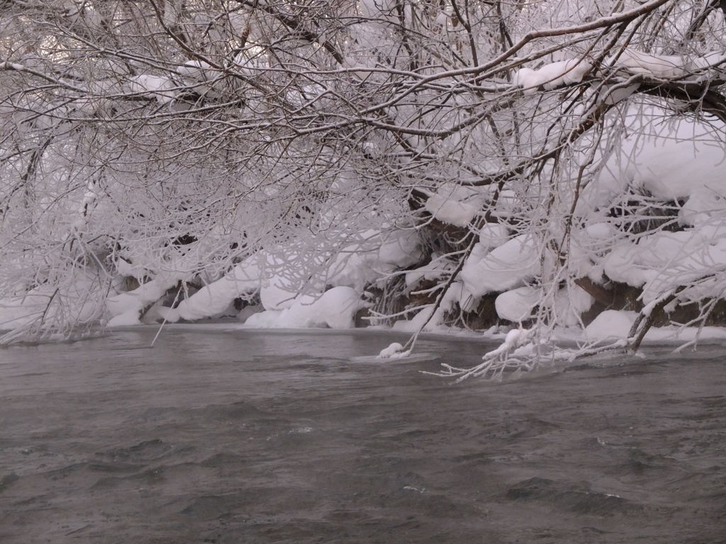 マイナスの世界