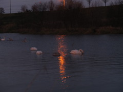 日が暮れた今日は終わり