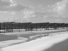 ひかりをあびて２