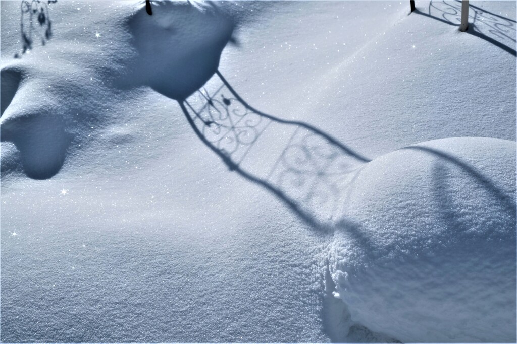 雪上のメロディー