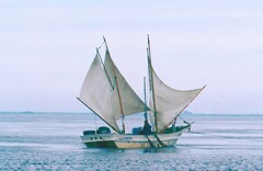 野付湾　海老ぎょう
