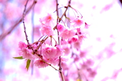 待った、少し待った