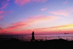 夕暮れの美女