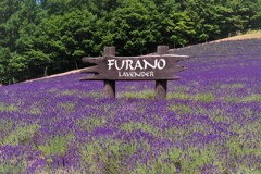 ＦＵＲＡＮＯ