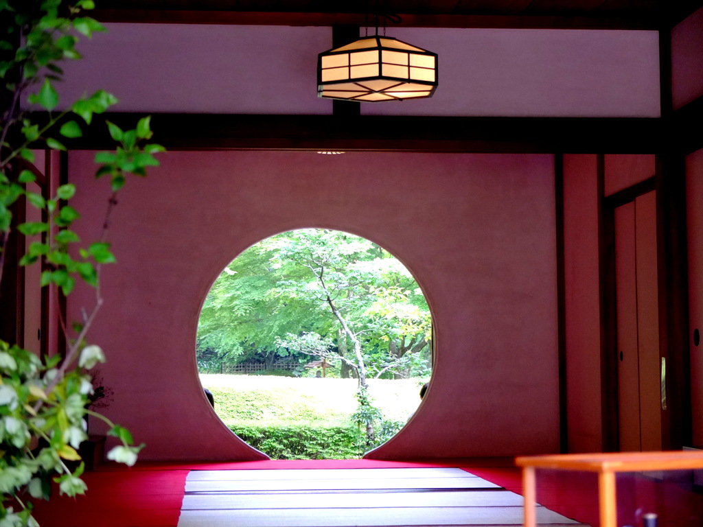 目に焼付けて、壱