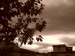 君と見た夕焼け