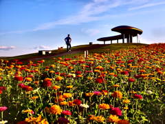 ご主人様、早く歩いて ご主人様、早く歩いて