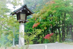 境内で見つけた秋
