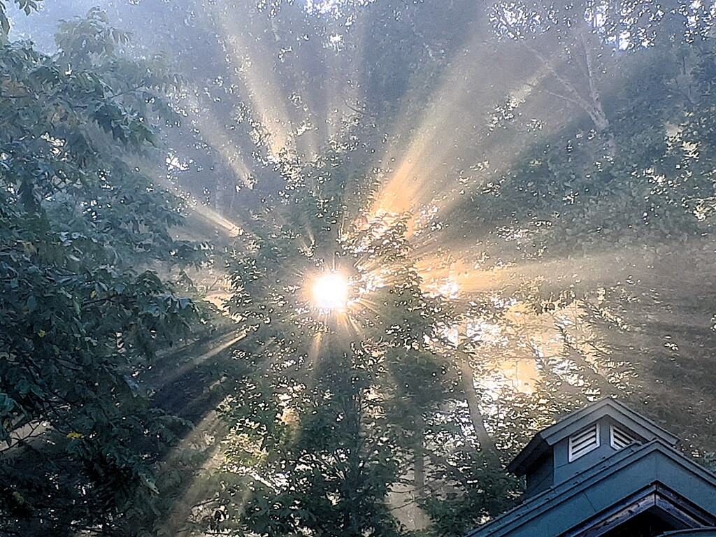 朝輝