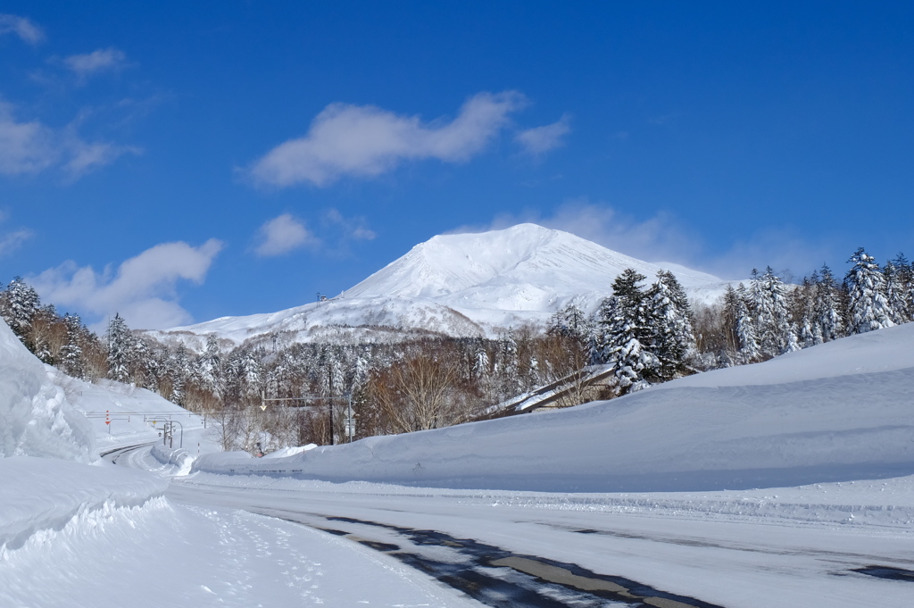 君が山を見たいと言った日