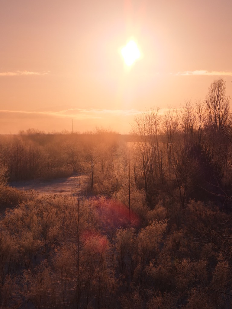 朝日をあびて１