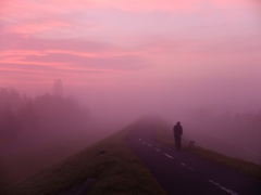 霧の中を連れられて