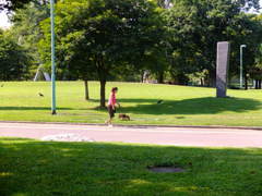 午後のひととき