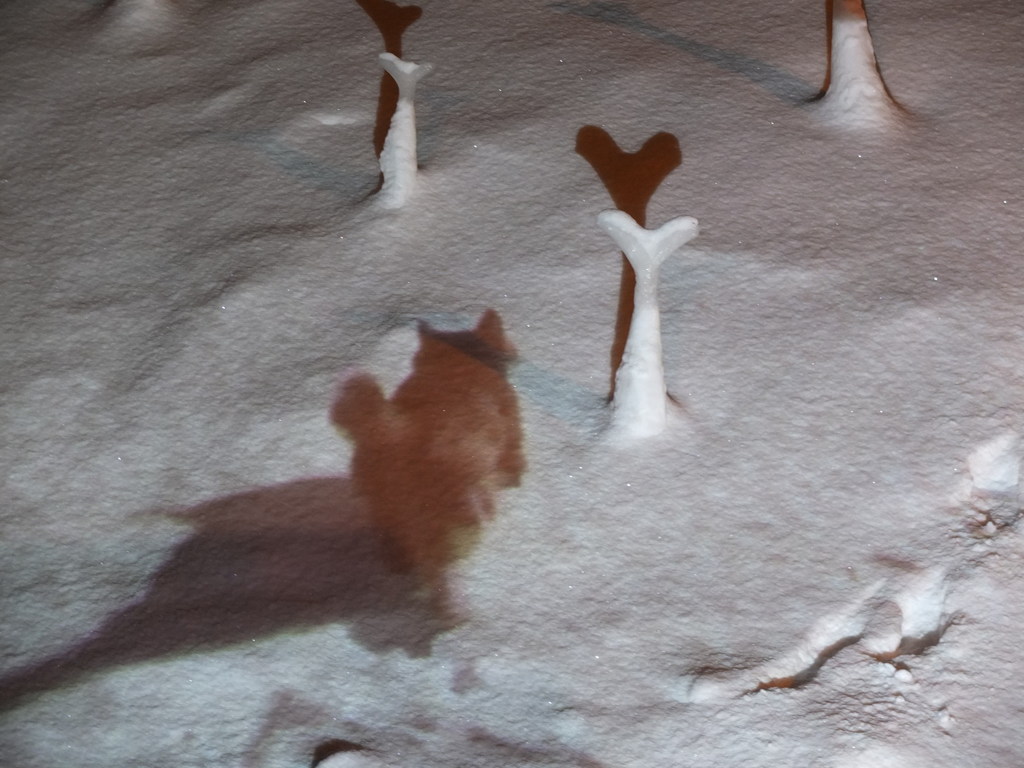 キタキツネ物語