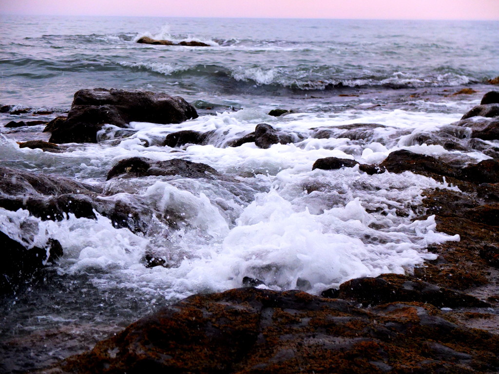 真夏のおもいで