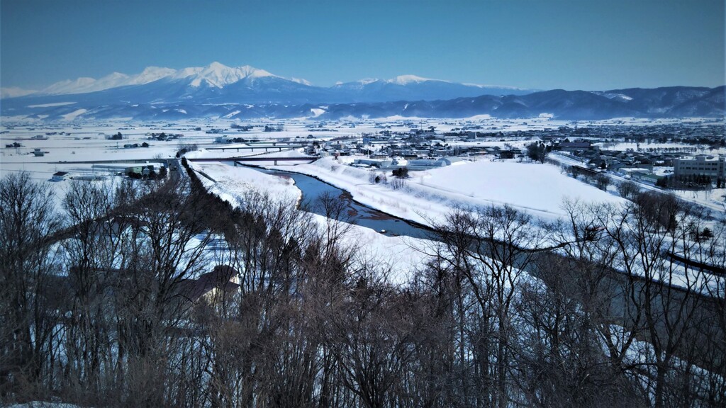 富良野盆地を見る