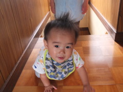 いっしよに遊んで いっしよに遊んで