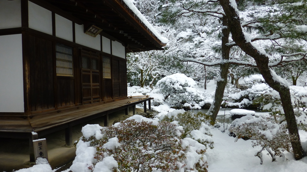 雪の美しさ