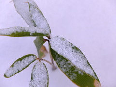 静かな時間