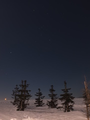 見上げてごらん北国の星を１