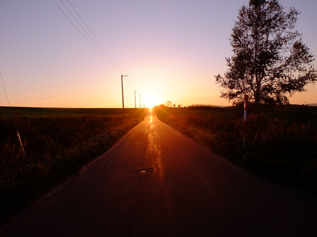 夕日に向かって