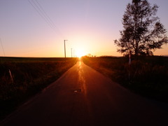 夕日に向かって