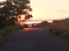 日のあたる坂道２