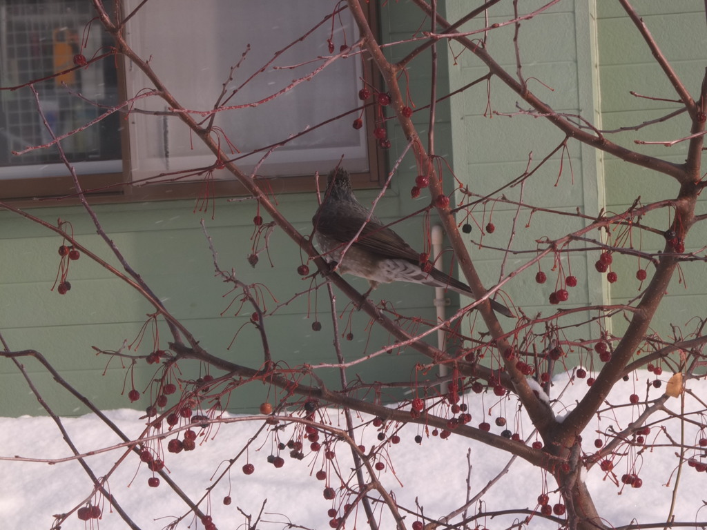 今日もきてくれたな