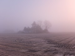 霧に囲まれて