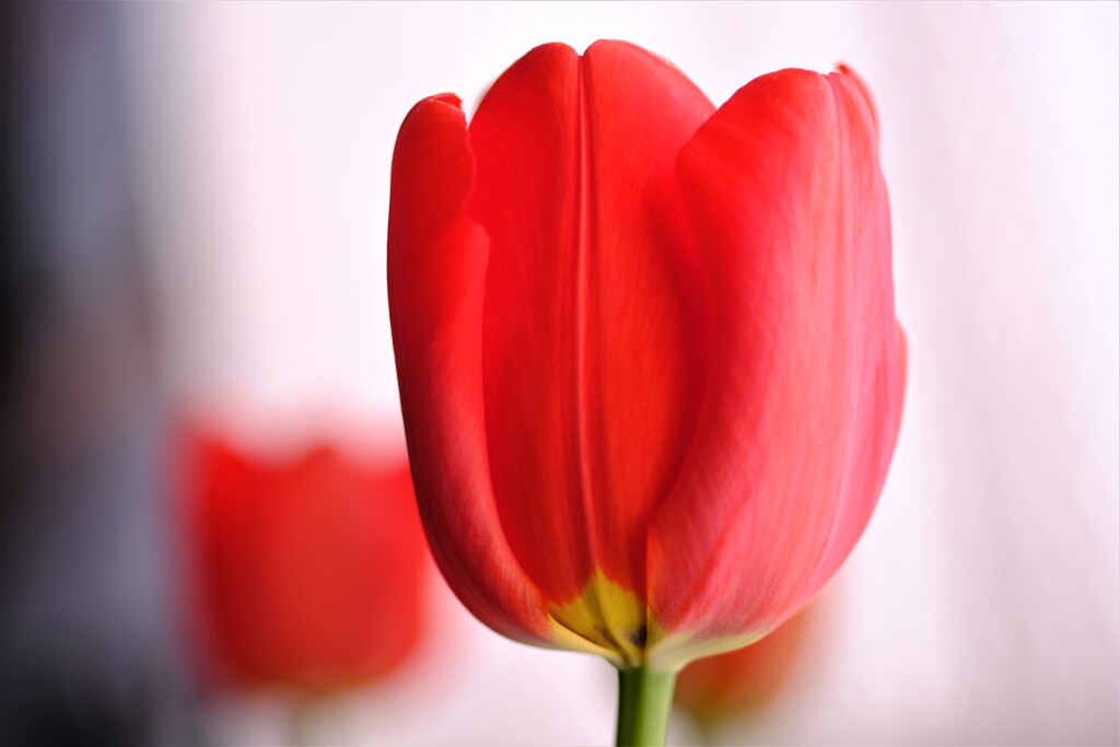 3月3日