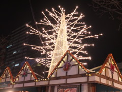 複雑に咲いてます