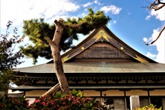 伊達　大雄寺