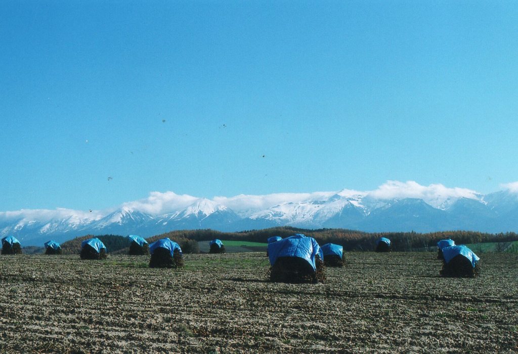 ペンタと秋紀行４