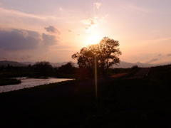 夕焼け