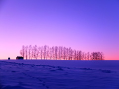 初雪降って