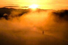 ―20℃の朝の散歩