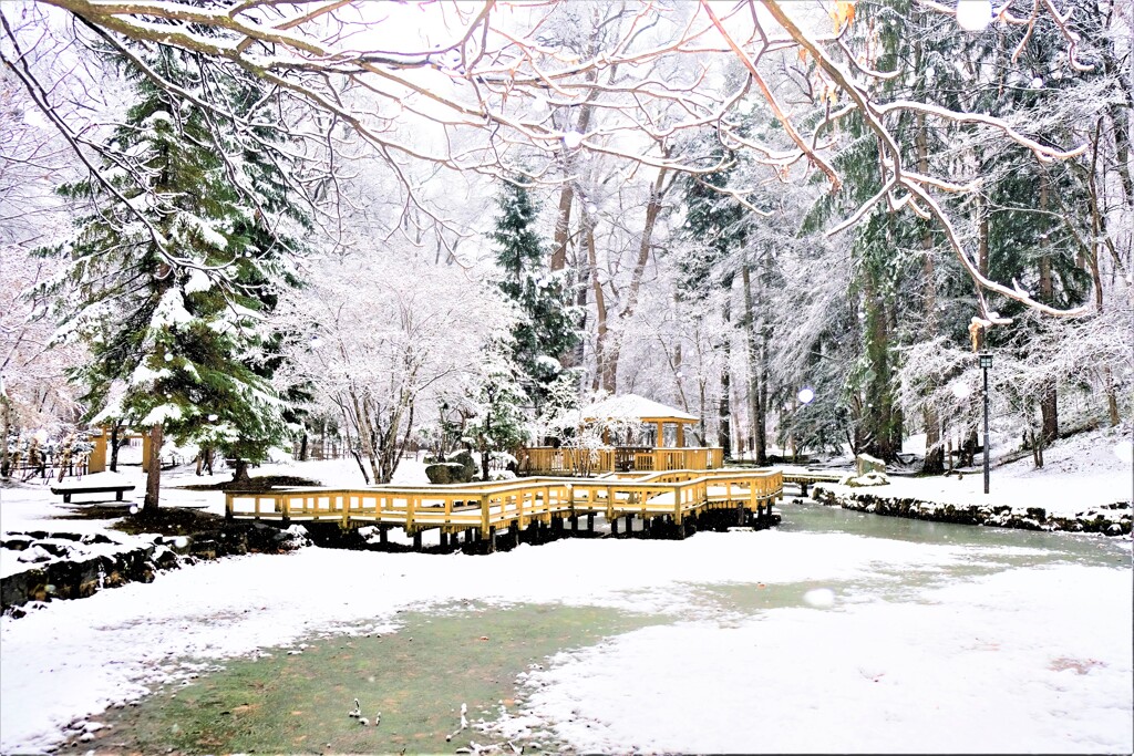 雪景色