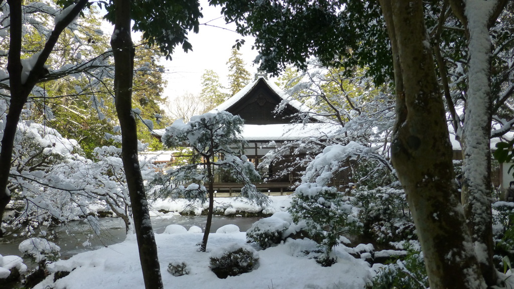 雪とのコラボ
