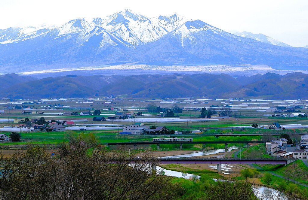 富良野線