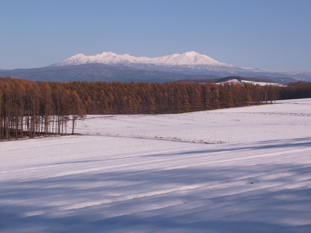 旭岳の雪原