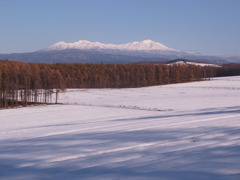 旭岳の雪原