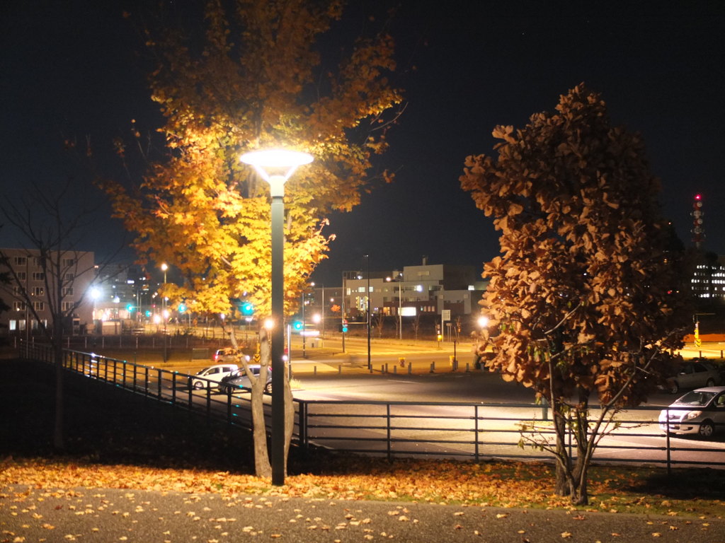 外灯に照らされて