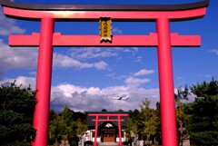 青空に