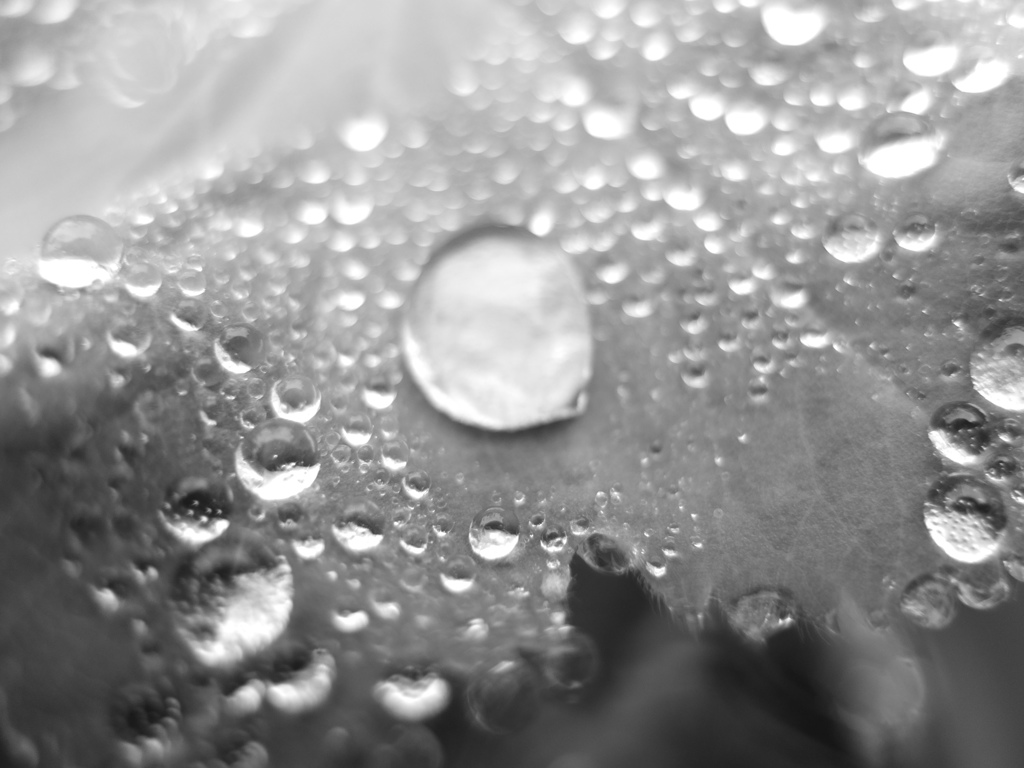 しずくの旅立ち２