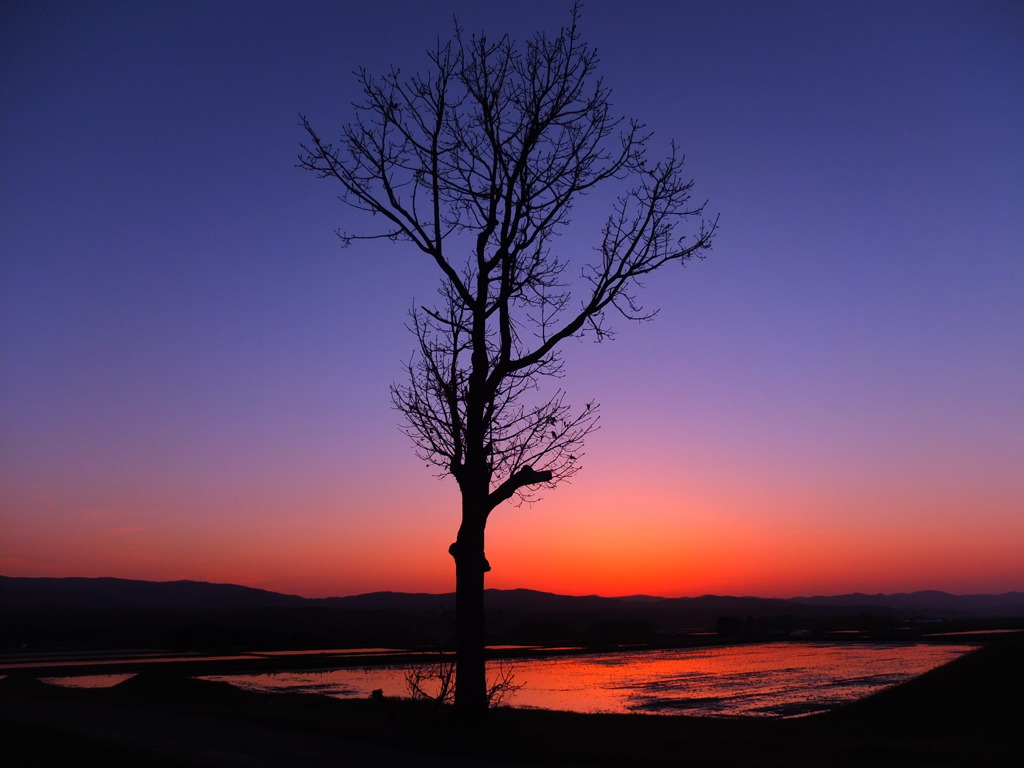 夕暮れのキミ