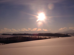 雪原の太陽