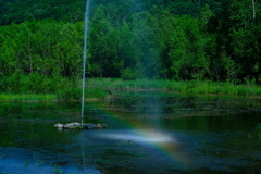 虹の噴水