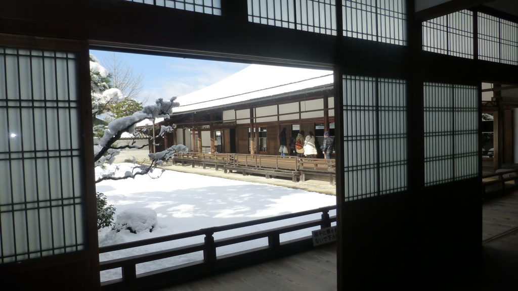 庭に咲く雪